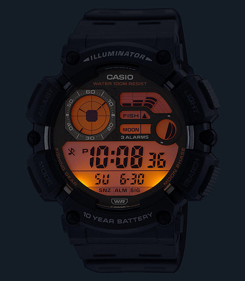 RELOJ CASIO WS-1500H-5AVDF